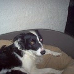 andre hazes show - andre hazes Nieuw deel 2 (made with Spreaker)