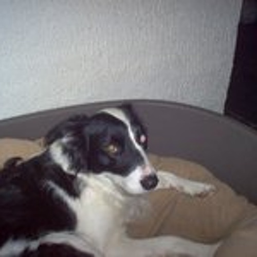 andre hazes show - andre hazes Nieuw deel 2 (made with Spreaker)