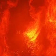 The world is on fire (Demo)