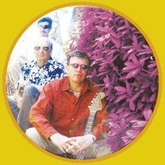 Daydream - Robin Trower - by Are You Experienced Band Pittsburgh