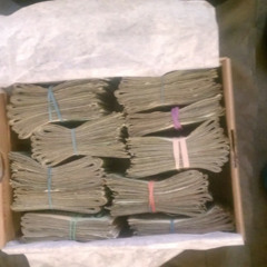 Boomin and Bunkin(trap music)