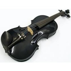 Wltramize - violino negro
