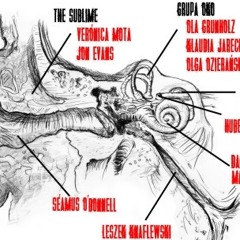 Gorzow installation extract