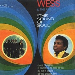 Wess & The Airedales - The House Of The Rising Sun