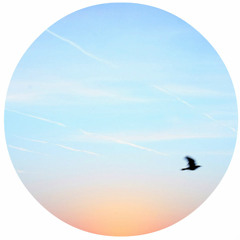 Jazzanova - Little bird feat. Jose James ( Last Night Flavor Bootleg) (FREE DL)