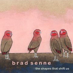 Brad Senne - Into the Moon