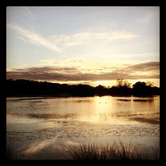 4 CiTieS - Beauty of Connection