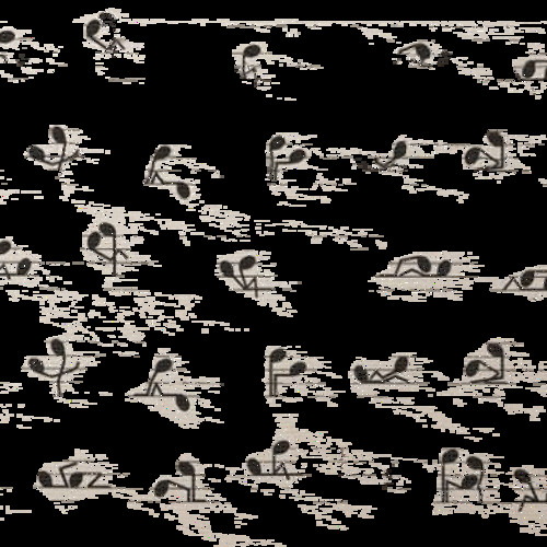 Champaigne Super Nova - Oasis