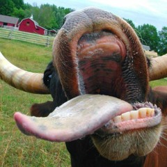 BEEFCLAW - painkillers and mouthwash