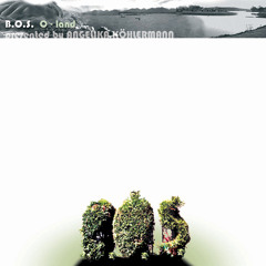 b.o.s. - we are all here mp3 320 kb/s
