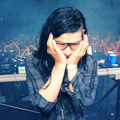 Skrillex & Avicci - Levels (Dubstep RMX)