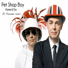 Petshop Boys-Home & Dry ( Ali Foomani remix)