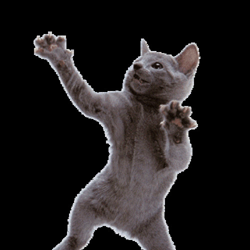 DJ RANKIN jungle drum n bass big up one nation hysteria telepathy kool fm