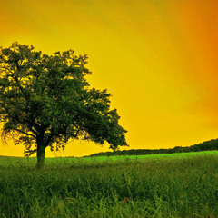 Reggae Step