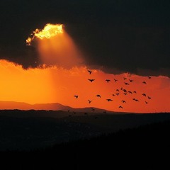 أروع تلاوة سمعتها لحد الآن