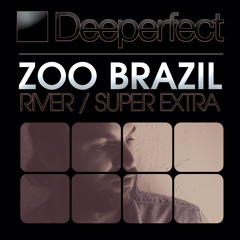 Zoo Brazil - River (Mr. Bizz Remix) [Deeperfect]