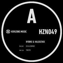 Hydro & Halogenix - Disillusioned [HZN049A]