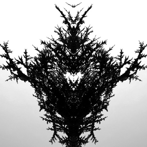 FORMZ - KEEP KEEPING feat Dubbledge, Cobes and Dabbla