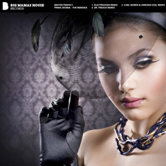 mister perfect - prima donna (dr fresch remix)