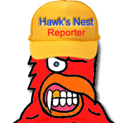 Hawk's Nest News - 911 Report - Hawk24