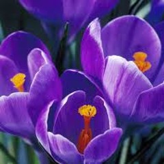 4. What we see in you