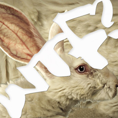 White Rabbit - WTF? Mar23rd2012 (mixed by Matt Garland)