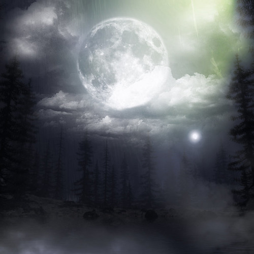 Chinensis- I'll Never Return [FREE DOWNLOAD]