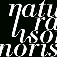 Damabiah feat. Caroline Duris - L'arbre Aux Sept Branches (Luis Junior Remix) - Natura Sonoris