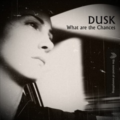 DUSK: What are the Chances (Albert Planck & Prins George Remix)