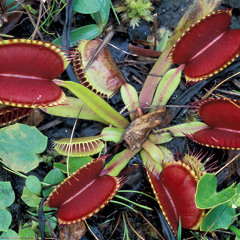 Don't Waste Your time