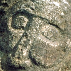 TE PITO TE HENUA - TATARAINA