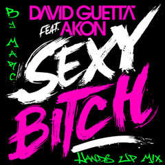 David Guetta feat. Akon - Sexy Bitch (Hands Up Remake)