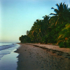 Ocean Sounds