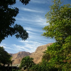 הרב אליהו גודלבסקי - תפילה לעני