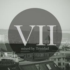 «Zur Heiteren Mischung VII» by Trinidad