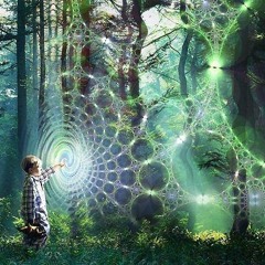 Mixes by Therapist compiled for morbomusic.com