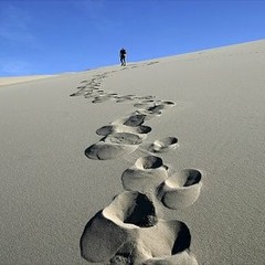 'Veertig dagen' by Rineke de Wit