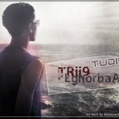 TuDir - Tri9 LghoRba  / 2011