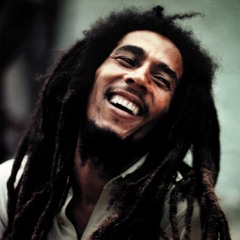 The Versionites - Chant Down Babylon (Bob Marley & The Wailers)