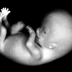 cheizi level - bastard/[Techsys Recordings forthcoming]