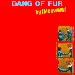 IMeowww Presents...Gang of Fur