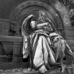 TheseGuys! - Môrs Certa (Unmastered)