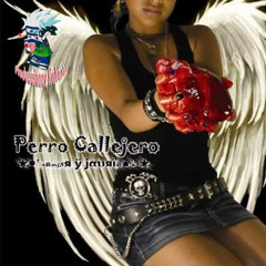 Tu Piel-Perro Callejero