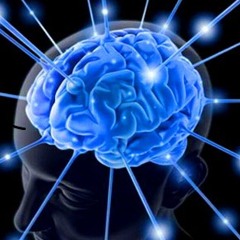 Infects your Mind