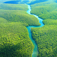 Atouck - Afternoon Soundscape Mix 2012