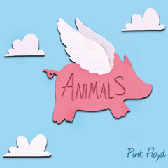 Pink Orb's Animals