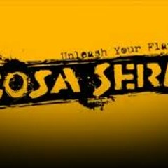 COSA SERIA  metrica lineal