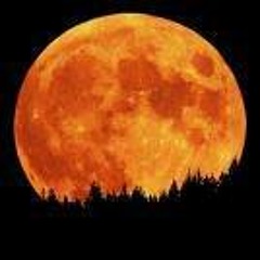 Blood Moon