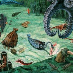 Zhongyu - Slow Explosion (Improv)