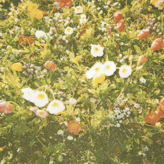 Wallflower - Cure Your Heart